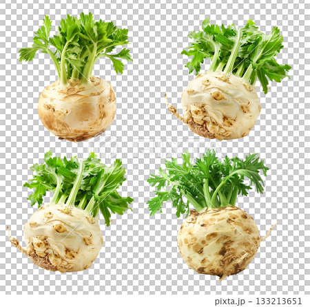 Set of celery root with green leaves isolated on a white background 133213651