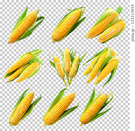 Fresh yellow corn with green leaves isolated on a white background 133213654