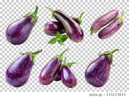 A single striped Italian purple eggplant is isolated on a white background 133213655