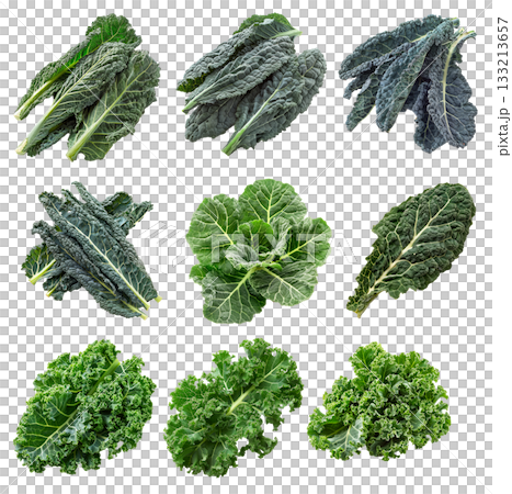 Fresh green Portuguese kale salad leaf isolated on a white background 133213657