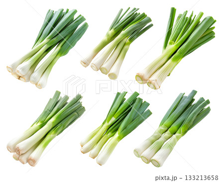 Fresh organic leeks or green onion isolated on a white background Fresh organic leeks or green onion isolated on a white background 133213658