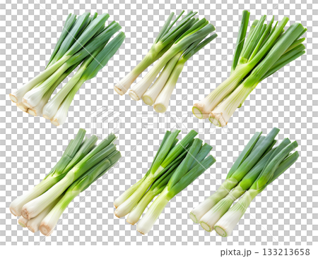 Fresh organic leeks or green onion isolated on a white background Fresh organic leeks or green onion isolated on a white background 133213658