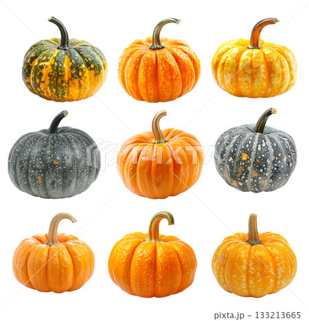Connecticut pumpkin with a green stem isolated on a white background 133213665
