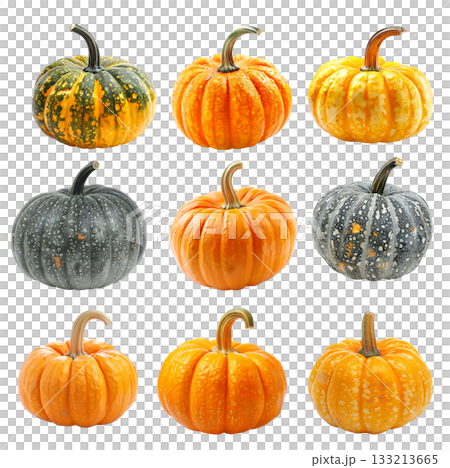 Connecticut pumpkin with a green stem isolated on a white background 133213665