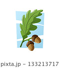 Two brown acorns with a green oak leaf on a light blue background. A clean and simple vector cartoon illustration. 133213717