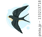 Graceful swallow in flight with dark wings and a light belly. Dynamic vector cartoon illustration of bird. 133213718