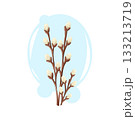 Soft fluffy willow branches with tender buds. Calm and natural spring floral vector cartoon illustration. 133213719