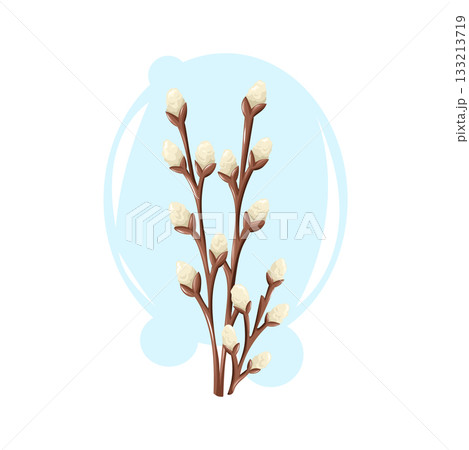 Soft fluffy willow branches with tender buds. Calm and natural spring floral vector cartoon illustration. 133213719