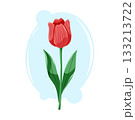Elegant red tulip with smooth petals and tall green leaves. Clean floral vector cartoon illustration. 133213722