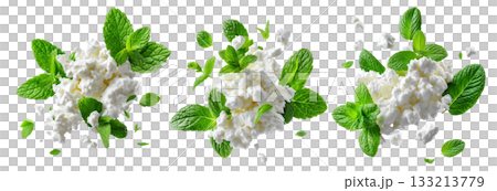 Fresh cottage cheese with green mint leaves, isolated on white background, concept of healthy food and freshness 133213779