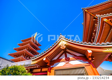 日本の東京都市景観 浅草寺の五重塔などを望む。インバウンド続く…青空が広がる東京＝11月17日 133214234