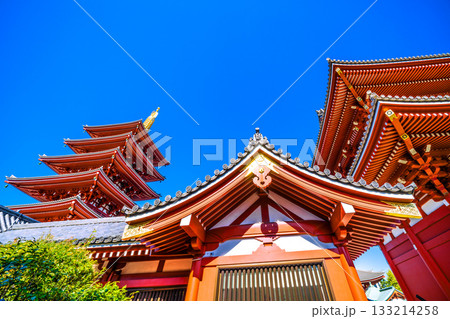 日本の東京都市景観 浅草寺の五重塔などを望む。インバウンド続く…青空が広がる東京=11月17日 日本の東京都市景観 浅草寺の五重塔などを望む。インバウンド続く…青空が広がる東京=11月17日 133214258