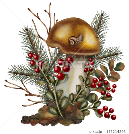Watercolor illustration of an autumn forest, porcini mushrooms and autumn leaves, berries, and pine cones. Autumn still life. Children's illustration. Suitable for books, packaging, postcards. Watercolor illustration of an autumn forest, porcini mushrooms and autumn leaves, berries, and pine cones. Autumn still life. Children's illustration. Suitable for books, packaging, postcards. 133214293