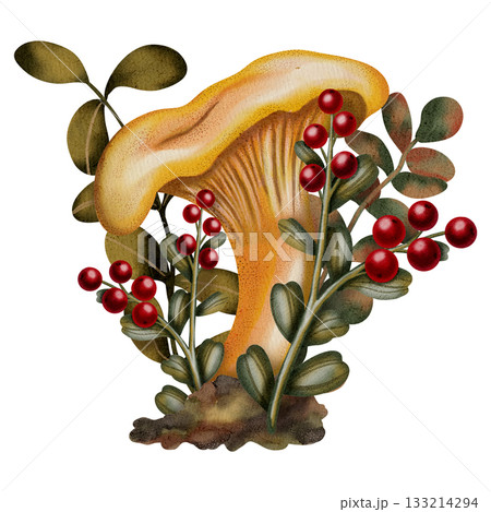 Watercolor illustration of autumn forest chanterelle mushrooms with autumn leaves and a pine cone. Children's illustration. Suitable for books, packaging, postcards and children's clothing. 133214294