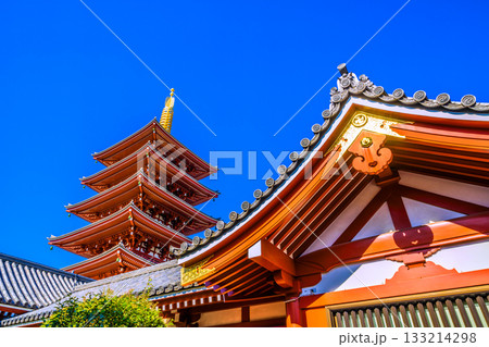 日本の東京都市景観 浅草寺の五重塔などを望む。インバウンド続く…青空が広がる東京=11月17日 日本の東京都市景観 浅草寺の五重塔などを望む。インバウンド続く…青空が広がる東京=11月17日 133214298