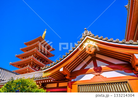 日本の東京都市景観 浅草寺の五重塔などを望む。インバウンド続く…青空が広がる東京＝11月17日 133214304