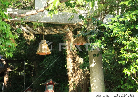 日差しが当たる神社のしめ縄と鳥居　夏 133214365