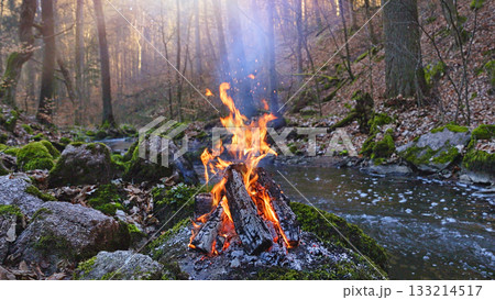 Crackling Campfire in Spring Forest with Mossy Stones and Gurgling Stream , Authentic Place Crackling Campfire in Spring Forest with Mossy Stones and Gurgling Stream , Authentic Place 133214517