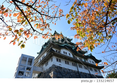 桜の紅葉と天守閣(名古屋城) 桜の紅葉と天守閣(名古屋城) 133214657