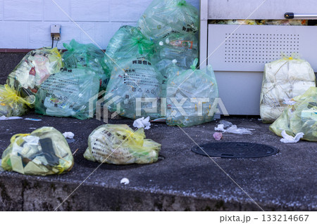 散乱しているゴミ捨て場　指定ゴミ袋に入れて捨てている 133214667