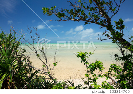 エメラルドグリーンの海と白い砂浜と緑 133214700