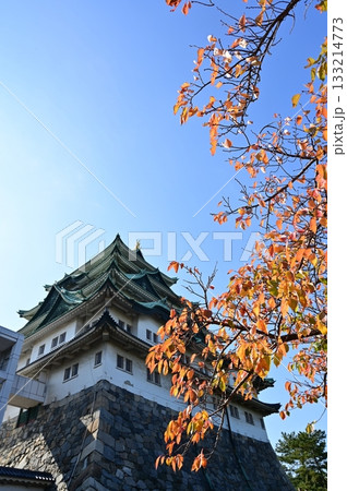 ソメイヨシノの紅葉と天守閣(名古屋城) ソメイヨシノの紅葉と天守閣(名古屋城) 133214773