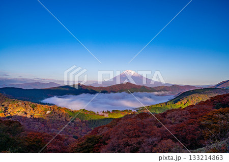 【神奈川県】紅葉期の箱根大観山から、芦ノ湖の雲海と富士山 133214863