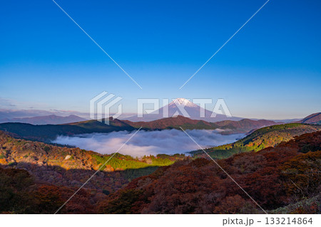 【神奈川県】紅葉期の箱根大観山から、芦ノ湖の雲海と富士山 133214864