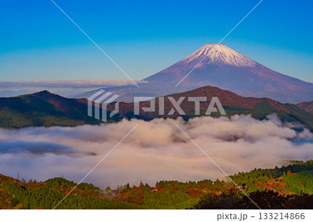 【神奈川県】紅葉期の箱根大観山から、芦ノ湖の雲海と富士山 【神奈川県】紅葉期の箱根大観山から、芦ノ湖の雲海と富士山 133214866