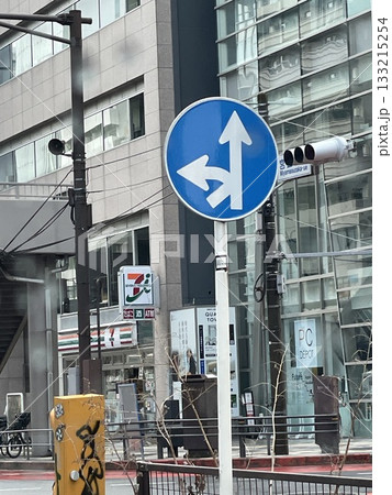 異形指定方向外進行禁止標識　アップ 133215254