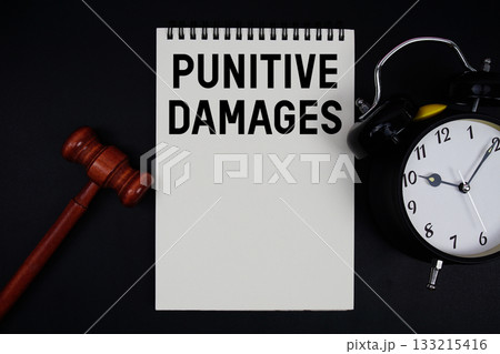 Punitive Damages text written on notepad with gavel and alarm clock on black background Punitive Damages text written on notepad with gavel and alarm clock on black background 133215416
