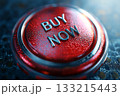 Close-up of red glossy Buy Now push button on dark surface. E-commerce urgency, digital retail promotion, sales event. Black Friday, Cyber Monday, seasonal sales. Online business marketing concept. Close-up of red glossy Buy Now push button on dark surface. E-commerce urgency, digital retail promotion, sales event. Black Friday, Cyber Monday, seasonal sales. Online business marketing concept. 133215443