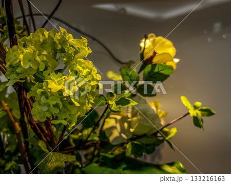 ロビーに飾られた花たち～イミテーションフラワーズ～ 133216163