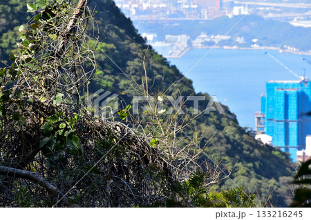 Close-up of the mountains with the cityscape in the background. Hiking scene and nature scene. Close-up of the mountains with the cityscape in the background. Hiking scene and nature scene. 133216245