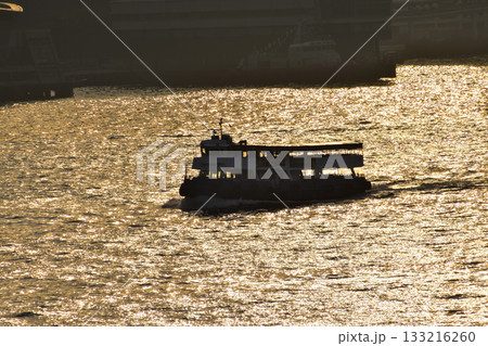 The seascape at sunset with ships and cityscape in the background. Sun-rays reflected on the calm sea. Sea background and cityscape. Nature concept. The seascape at sunset with ships and cityscape in the background. Sun-rays reflected on the calm sea. Sea background and cityscape. Nature concept. 133216260