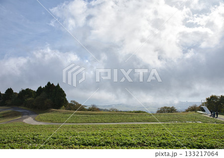 びわこ箱館山 山頂より低く立ち込める雲と少しだけ琵琶湖4 びわこ箱館山 山頂より低く立ち込める雲と少しだけ琵琶湖4 133217064
