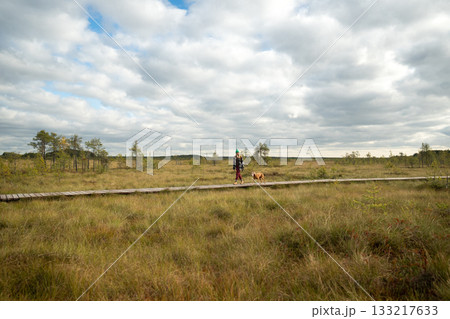 Woman walk dog through autumn peat bog under overcast sky, seasonal eco trail trekking with pet 133217633