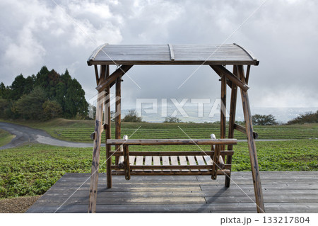 びわこ箱館山 山頂展望台の丸太ベンチ1 びわこ箱館山 山頂展望台の丸太ベンチ1 133217804