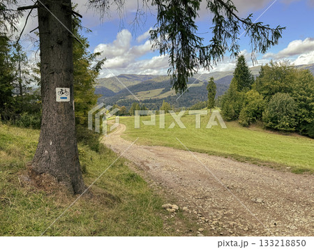 Scenic Mountain Trail View With Tree Sign For Biking On Gravel Path In Sunny Fields Scenic Mountain Trail View With Tree Sign For Biking On Gravel Path In Sunny Fields 133218850
