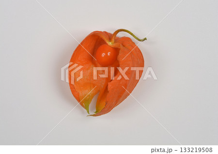 Physalis fruit Physalis fruit 133219508