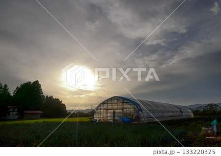 岩手県小岩井農場近郊のビニールハウスのある夕景 岩手県小岩井農場近郊のビニールハウスのある夕景 133220325
