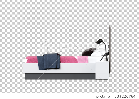 bed isolate on a transparent background, interior furniture, 3D illustration, cg render 133220764