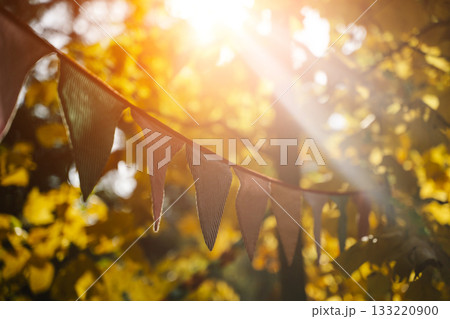 Autumn Celebration Flags on a Sunny October Day 133220900