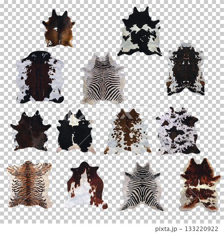 carpet for interior isolated on transparent background, home decor, 3D illustration, cg render carpet for interior isolated on transparent background, home decor, 3D illustration, cg render 133220922