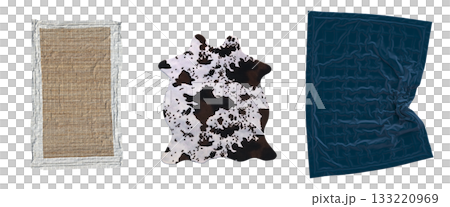 carpet for interior isolated on transparent background, home decor, 3D illustration, cg render 133220969