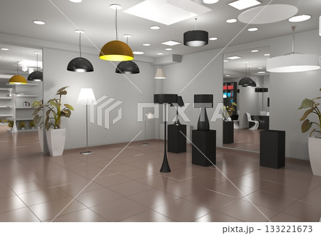 commercial premises, shop, interior visualization, 3D illustration commercial premises, shop, interior visualization, 3D illustration 133221673