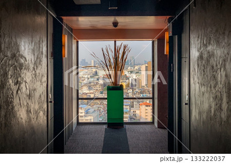 Modern hallway with city view and decorative plant in a green planter Modern hallway with city view and decorative plant in a green planter 133222037