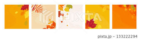 Autumn background. Thanksgiving flowers, fall post template for social media or abstract orange beauty frame. Botanical decorative set. Card with copy space. Vector banner, isolated concept Autumn background. Thanksgiving flowers, fall post template for social media or abstract orange beauty frame. Botanical decorative set. Card with copy space. Vector banner, isolated concept 133222294
