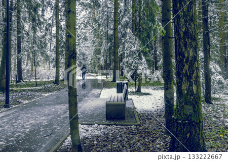 Silent park bench along leafcovered walkway in urban nature setting Silent park bench along leafcovered walkway in urban nature setting 133222667
