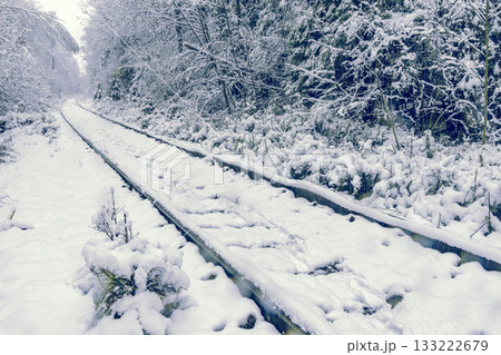Snowy forest journey, Frostcovered railway stretching through remote forested landscape under cloudy sky 133222679